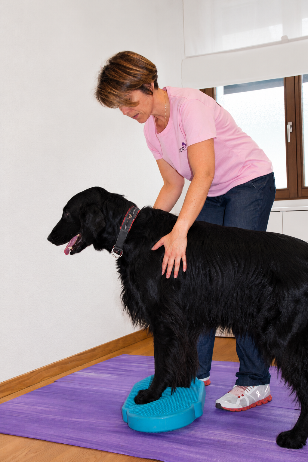 Valeria Leone begleitet einen schwarzen Hund bei einer Balanceübung
